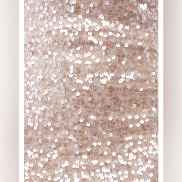 ASTR sequin dress - Picture 13 of 13